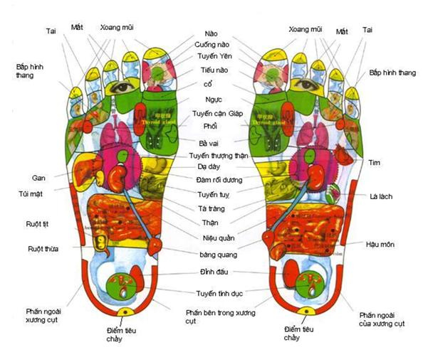 Bồn Ngâm Chân Massage Thải Độc Cao Cấp